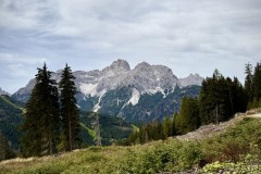 IMG_7132