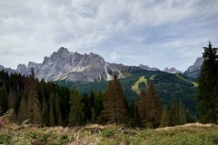 IMG_7133