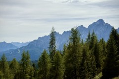 IMG_7157