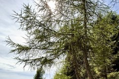 IMG_7159