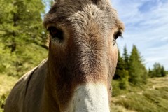 IMG_7166