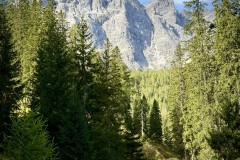 IMG_7194
