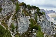 IMG_7213