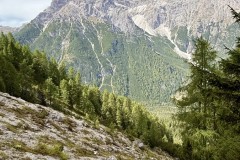 IMG_7224
