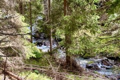 IMG_7333