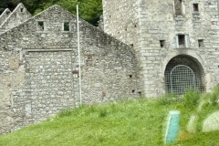 IMG_7362