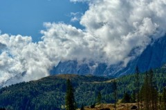 IMG_7305