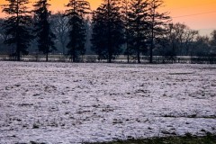 IMG_0224