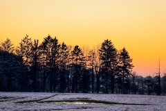 IMG_0225