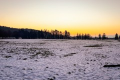 IMG_0226