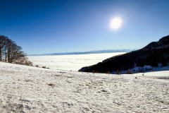 IMG_3629_jpg