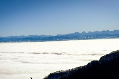 IMG_3630_jpg