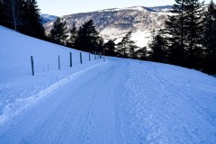 IMG_3632_jpg