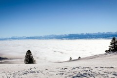 IMG_3633_jpg