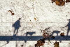 IMG_3645_jpg