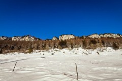 IMG_3646_jpg