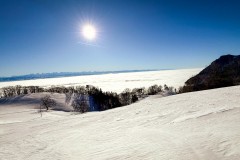 IMG_3647_jpg