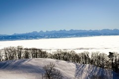 IMG_3648_jpg