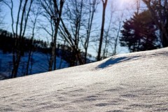 IMG_3650_jpg