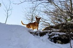 IMG_3657_jpg