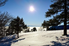IMG_3661_jpg