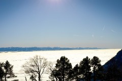 IMG_3664_jpg