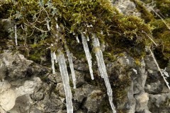 IMG_3727