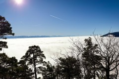 IMG_3735_jpg