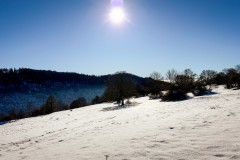 IMG_3745_jpg