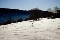 IMG_3746_jpg