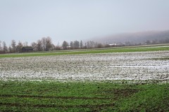 IMG_3782_jpg