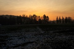 IMG_3878_jpg