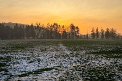 IMG_3879_jpg