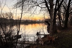 IMG_3882_jpg