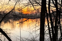 IMG_3884_jpg