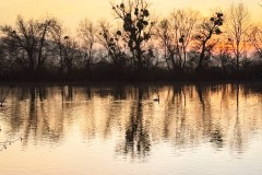 IMG_3885_jpg