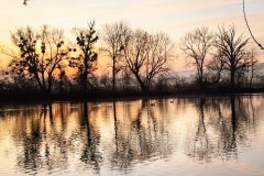IMG_3890_jpg