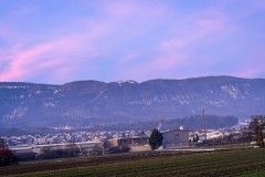 IMG_3892_jpg