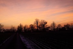 IMG_3895_jpg