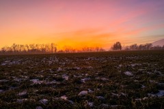 IMG_3898_jpg