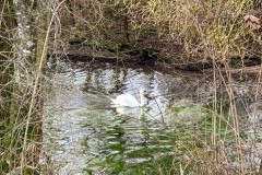 IMG_3918_jpg