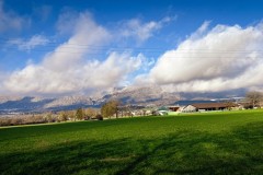 IMG_3939_jpg