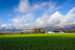 IMG_3941_jpg