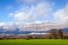 IMG_3942_jpg
