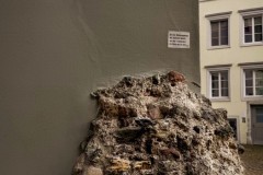 IMG_3963_jpg