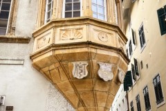 IMG_3967_jpg