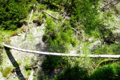 DSC00184