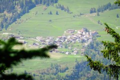 DSC00185