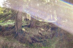 IMG_5886_jpg
