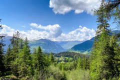 IMG_5892_jpg